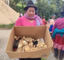 Prefectura del Cañar entregó 1.200 pollos a 40 familias en Samboloma del cantón Suscal