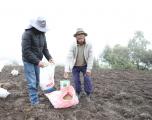 Pequeños ganaderos de Chuichún mejorarán pastos con apoyo de la Prefectura