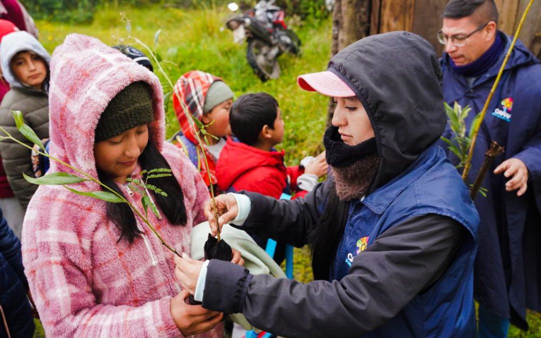 Celebramos el Día del Ambiente con múltiples actividades de concienciación ecológica