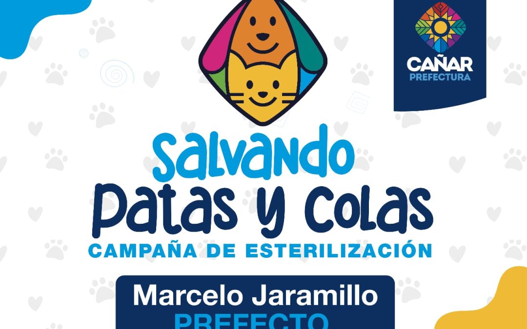 PREFECTURA DEL CAÑAR ANUNCIA CAMPAÑA DE ESTERILIZACIÓN ANIMAL EN TRES CANTONES DE LA PROVINCIA